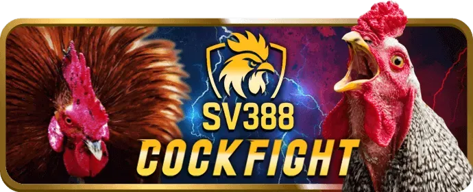 Hình ảnh văn phòng đại diện 788bet casino tại TP. Hồ Chí Minh